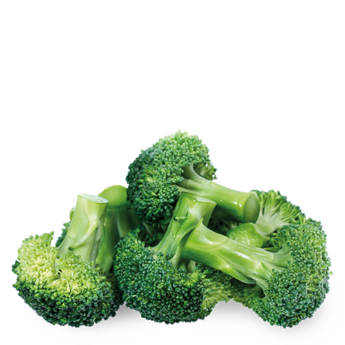Hortícolas