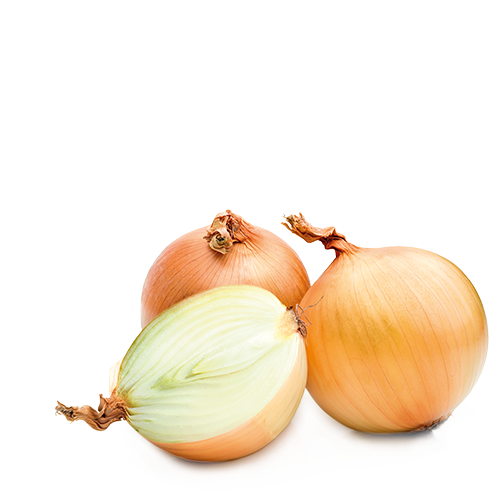 Cebola